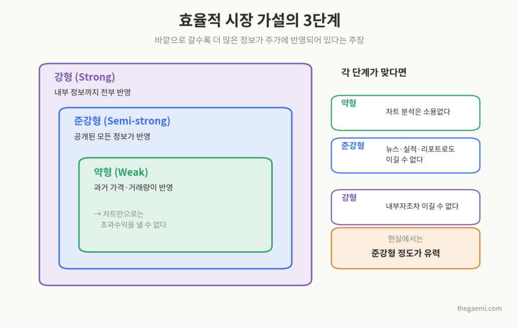 효율적 시장 가설 3단계 약형 준강형 강형 도식